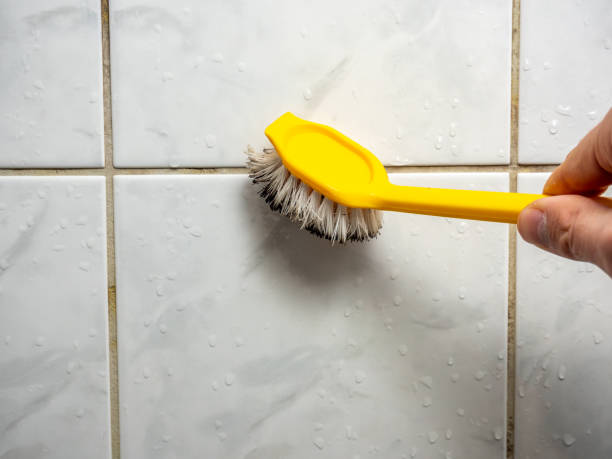 Best Mold Remediation  in San Rlos, CA