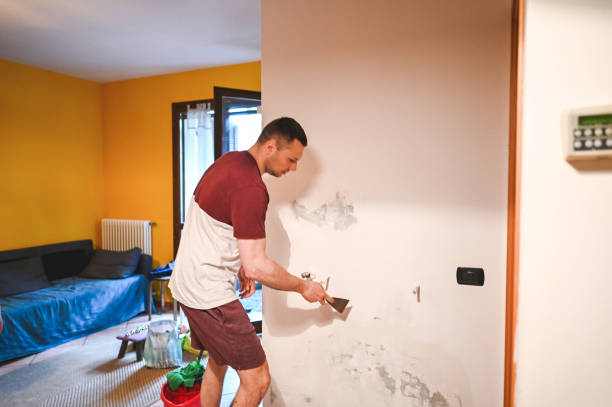 Best Certified Mold Removal  in San Rlos, CA